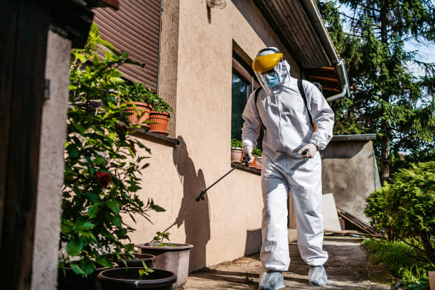 Best Affordable Pest Control Services  in Oxford, OH