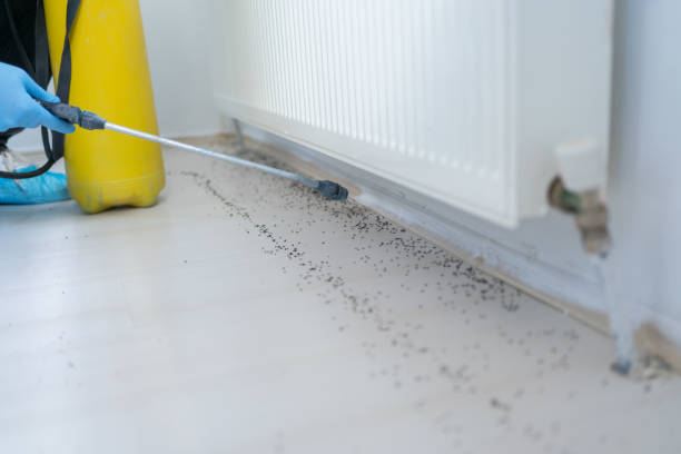 Best Pest Control for Businesses  in Oxford, OH