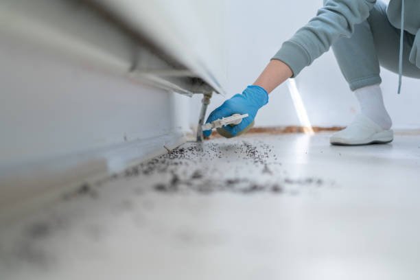 Best Cockroach Control Services  in Oxford, OH